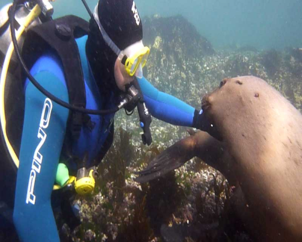 Bautismo Submarino - 4