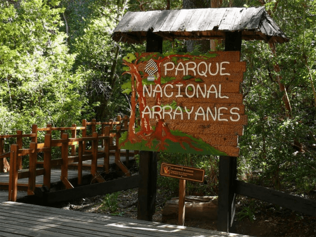 Bosque de Arrayanes - 4