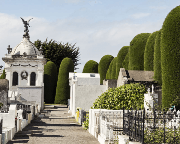 City Tour Punta Arenas - 3