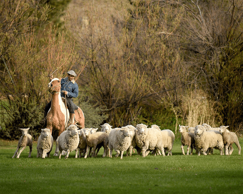 Estancia 25 de Mayo - 2