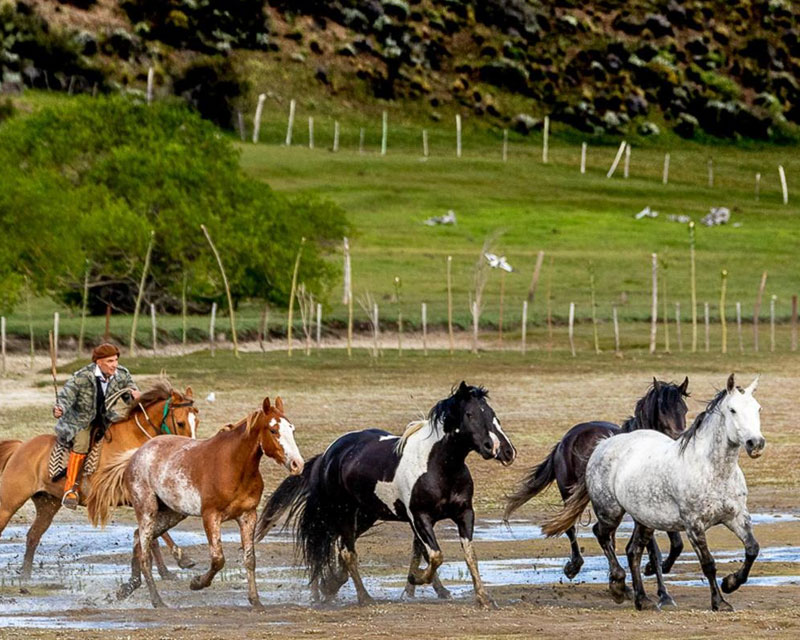 Estancia El Galpón - 3