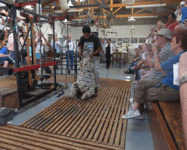 Estancia San Guillermo - 3