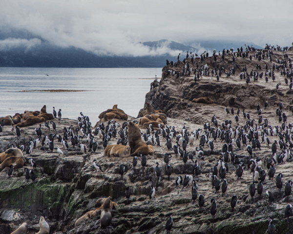 Navegación Isla de los Lobos - 3