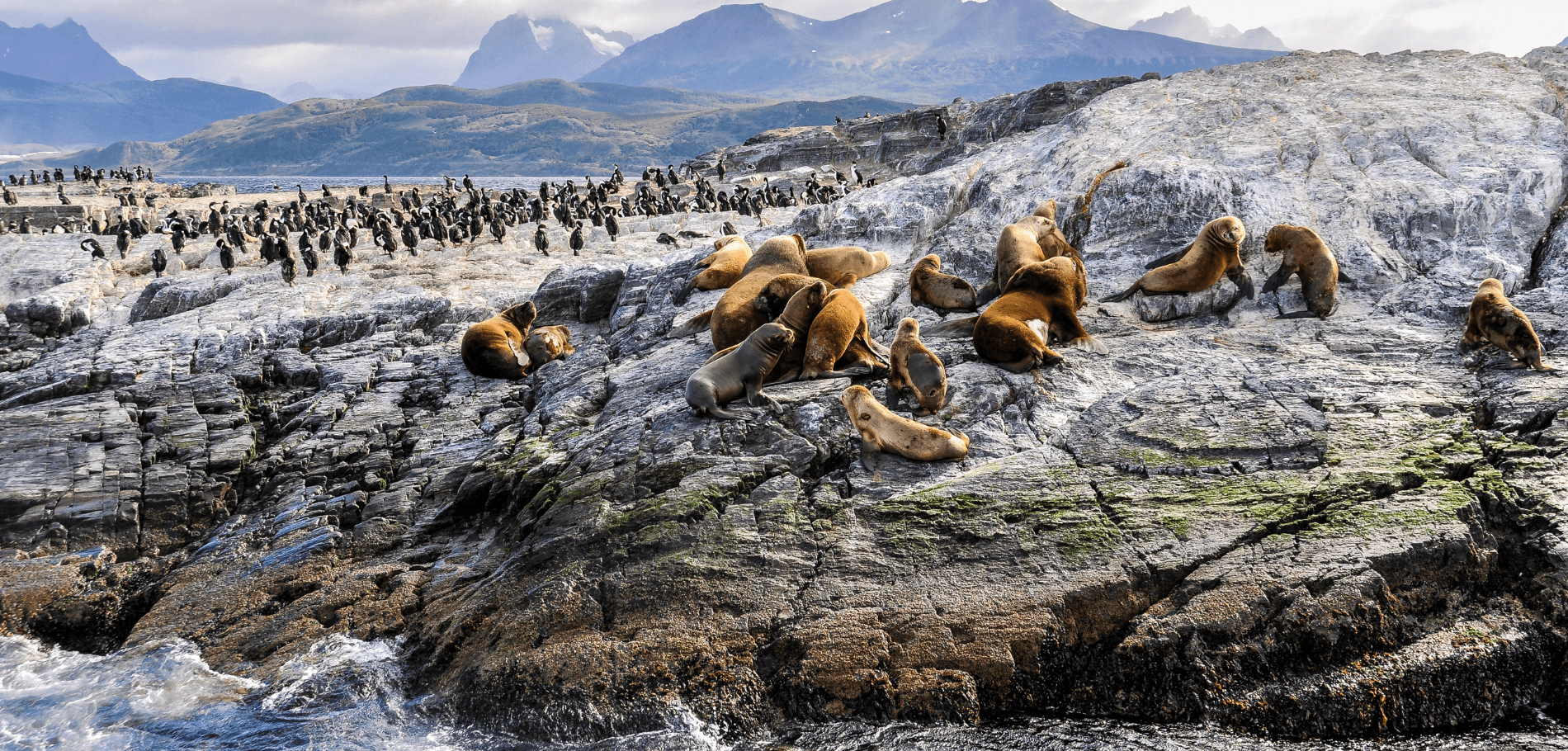 Navegación Isla de los Lobos