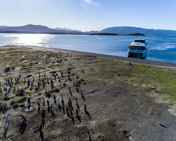 Navegación Pingüinera - 2