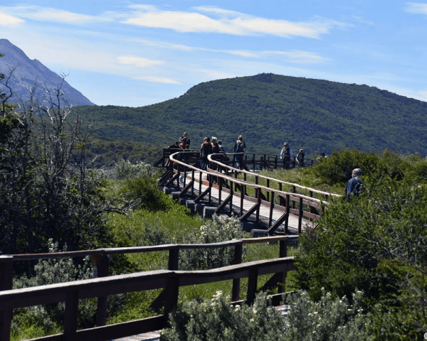 Parque Nacional Verano - 4