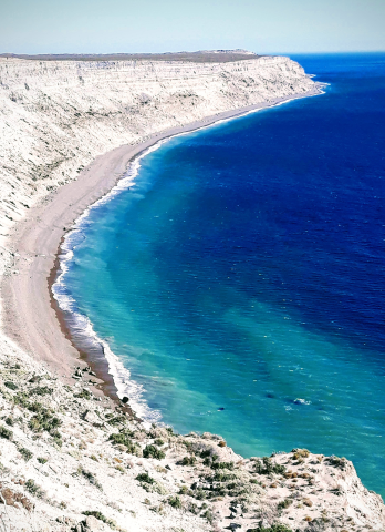 Pingüinera El Pedral - 3