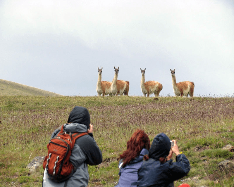 Safari Experience - 3