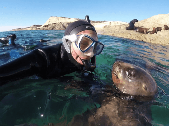 Snorkeling con Lobos - 3