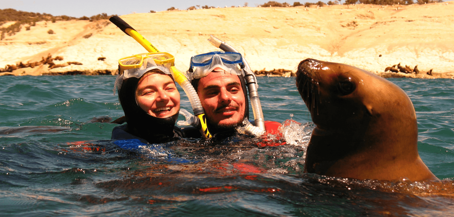 Snorkeling con Lobos