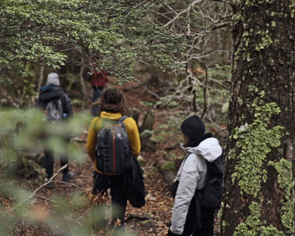 Trekking y Canoas Verano - 2